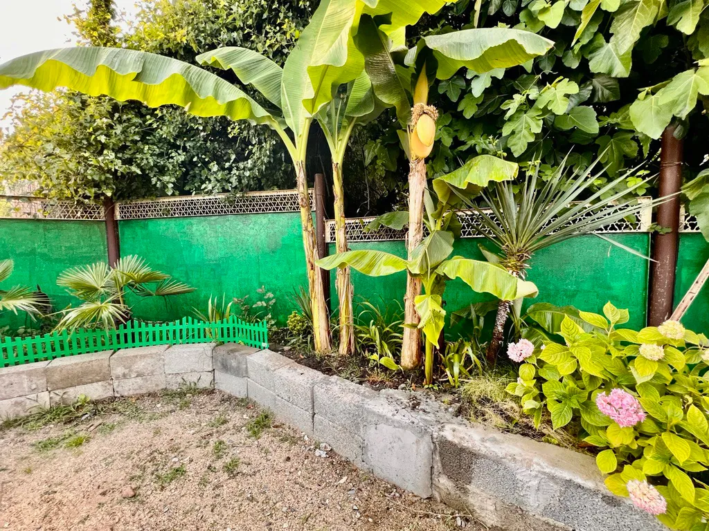 Гостевой дом Леон