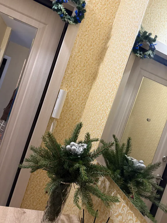 Квартира Квартира в Ивушки — Великий Новгород