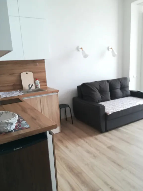 Квартира Квартира Уютная студия Гринсейл парк — Сириус