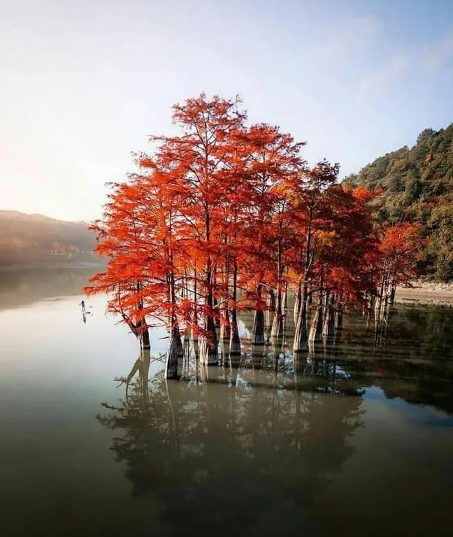 Апартамент в жк Резиденция Утриш