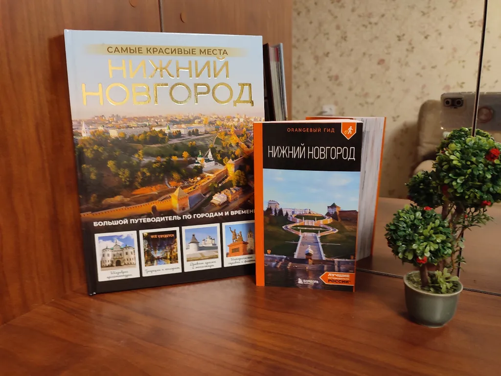 Квартира Уютная квартира в историческом центре города — Нижний Новгород
