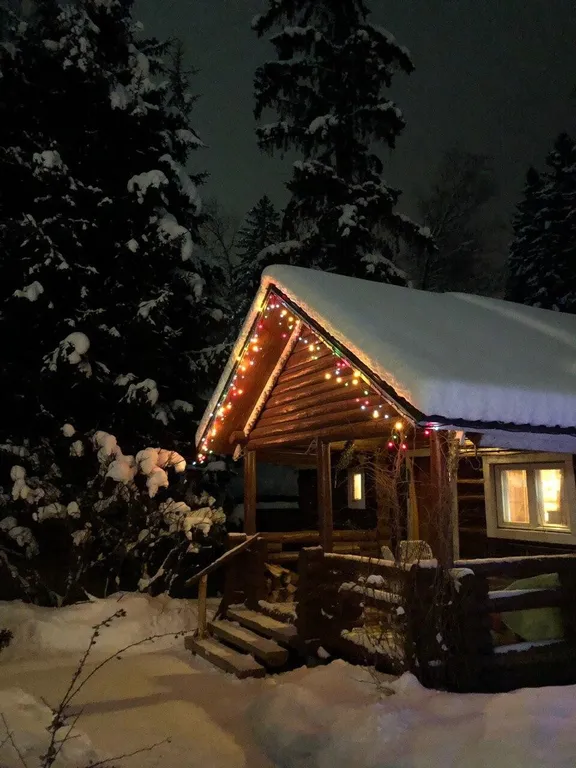 Коттедж Домик у леса с баней на дровах — Алексино