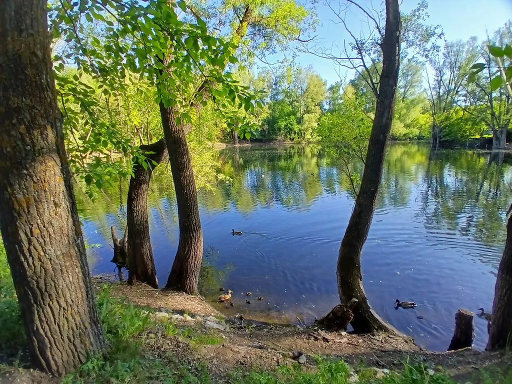 Домик для летнего отдыха с баней