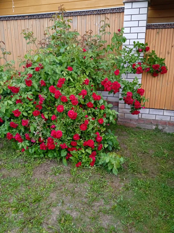 Домик с русской баней на берегу реки