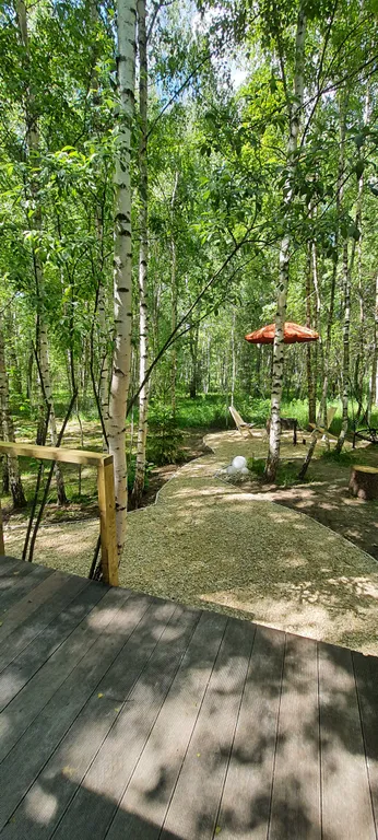 Коттедж Дом (A) с сауной и видом на лес — Пашуково