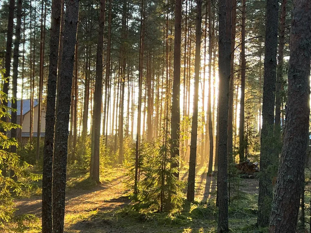 Коттедж Уютный большой дизайнерский дом в лесу Селигера на берегу озера Волго — Турбаза Чайка