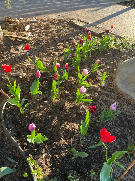 Дом в Раифе