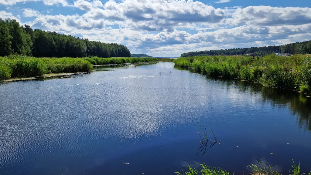 Коттедж с сауной комфорт-класса на реке Яхра