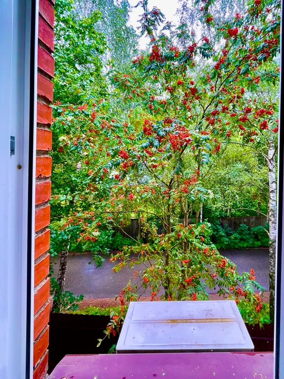 Люкс с кондиционером, кроватью и диваном у аэропорта Внуково в 15 минутах