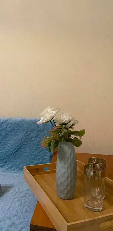 Очень просторная квартира свободной планировки