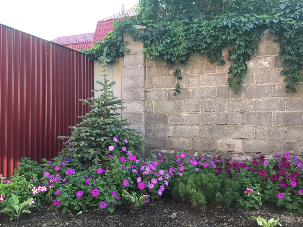 Притяжение - дом с видом на горы