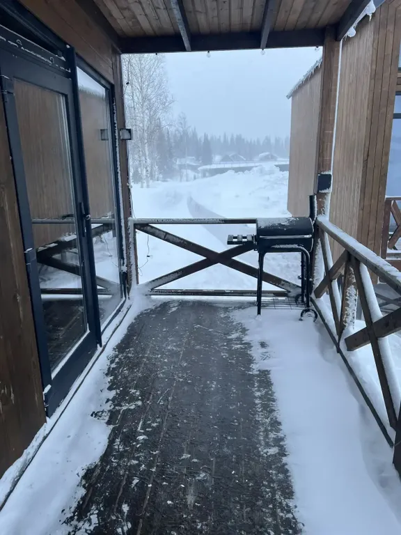 Дом «Манул»