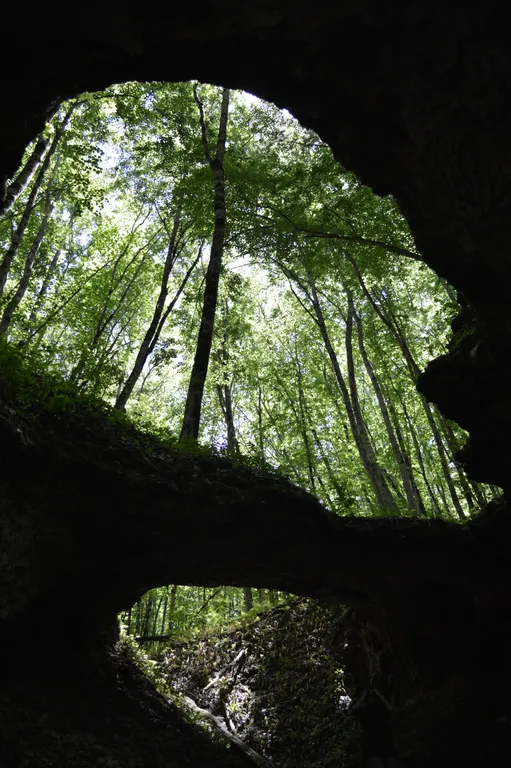 Коттедж Отдых от городской суеты в Адыгеи, домик в лесу А-фрейм — Веселый