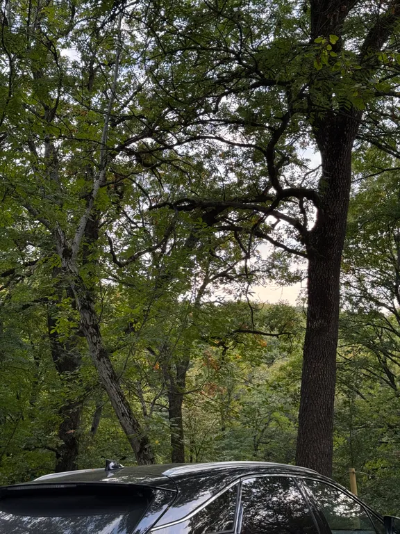 Отдых, который лечит