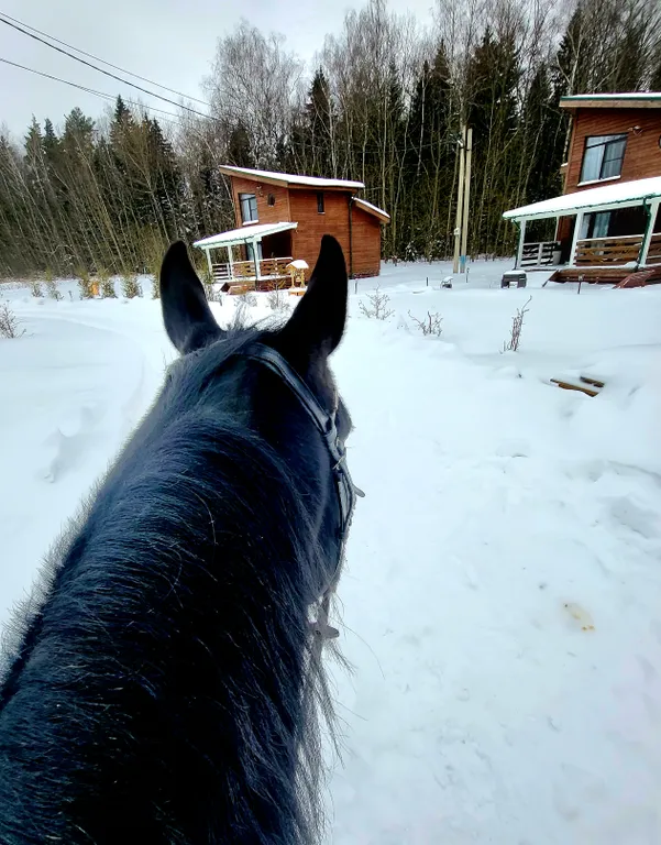Дизайнерский домик на семейной экоферме в Немцово
