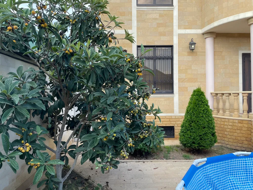 Коттедж с бассейном у Каспия