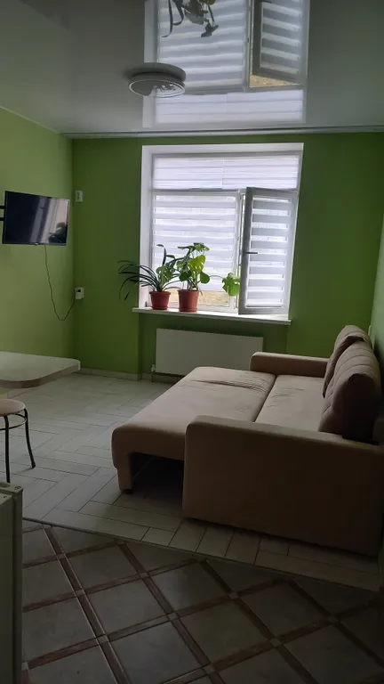 Уютная, светлая квартира ,кухня-студия,спальная.