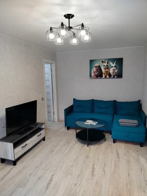 Уютная квартира в самом центре на набережной с видом на парк победы