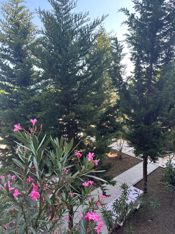 СПА«Ливадийский» ЖК Азор.Уютный 5ти местный номер с видом на море 2эт