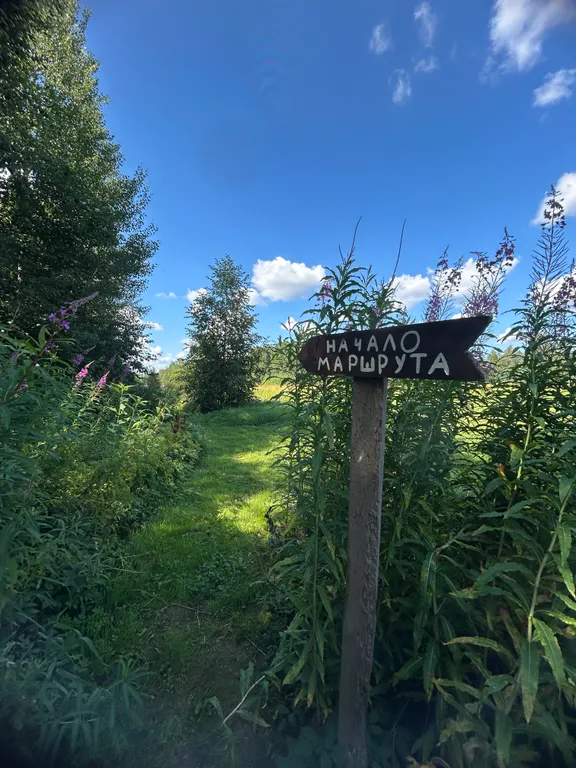 Чилим на крыше