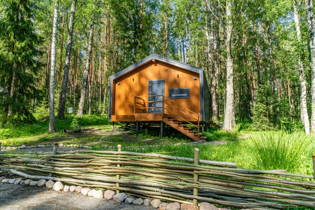 Дом с видом на лес