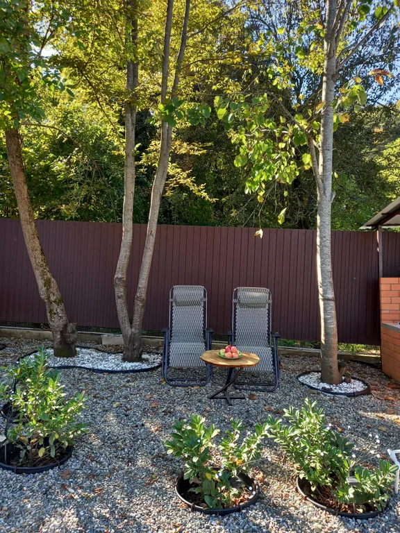 Дом в горах Адыгеи с бассейном