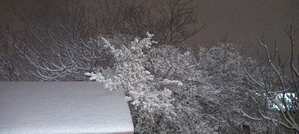 Дом старого художника в Севастополе