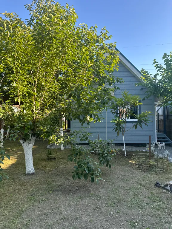 Коттедж Дачные пенаты — Нижнее Учдере