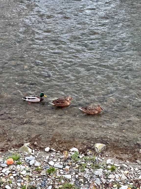 Квартира у подножья горы Машук около курортной зоны