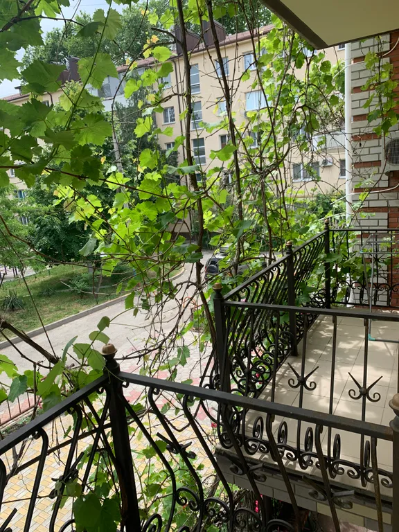 Квартира Квартира Двухкомнатный номер для уютного проживания в центре Анапы — Анапа