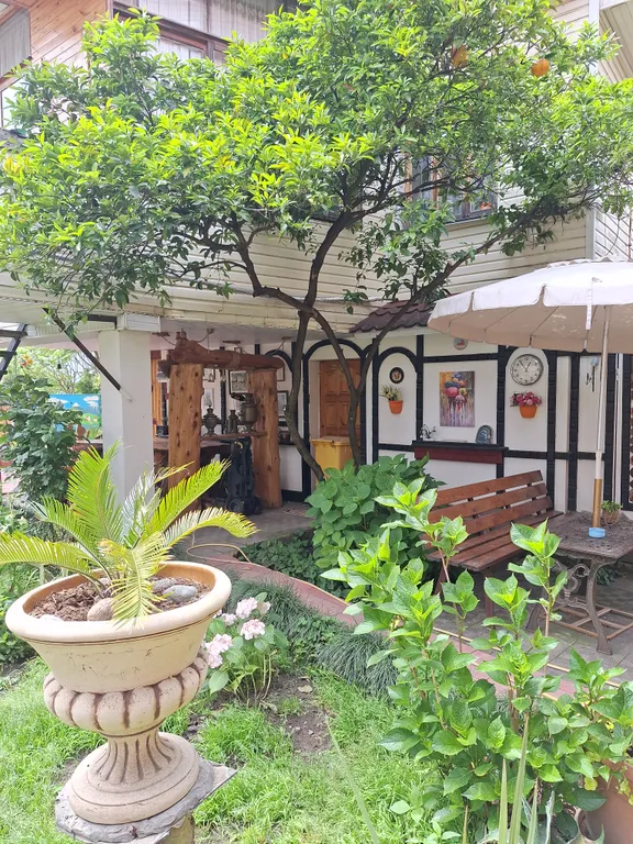 Квартира Комната — Сириус