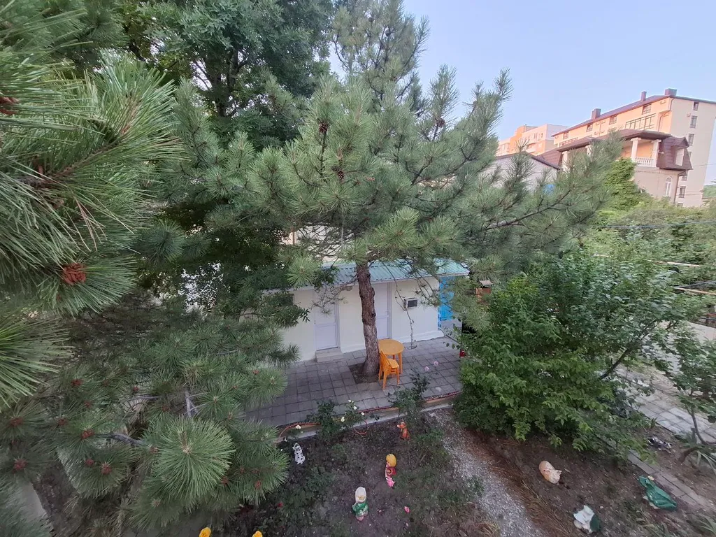 Семейный номер с видом на горы