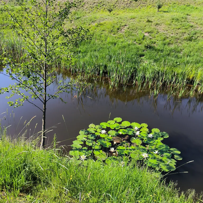 Агроусадьба Панский Вал