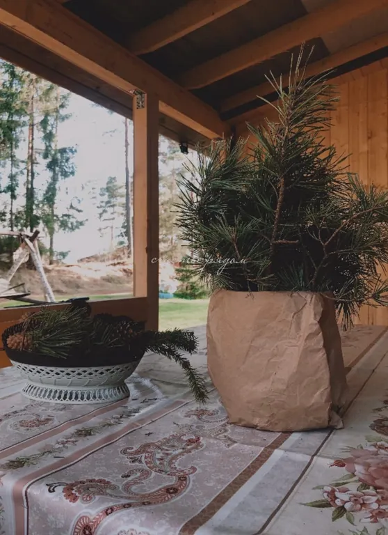 Коттедж в 100 метрах от озера