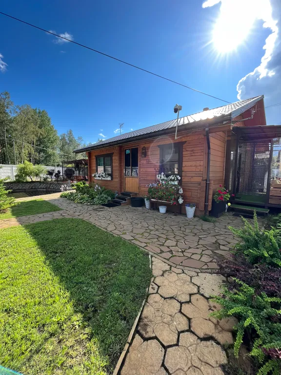 Карпин пруд 2