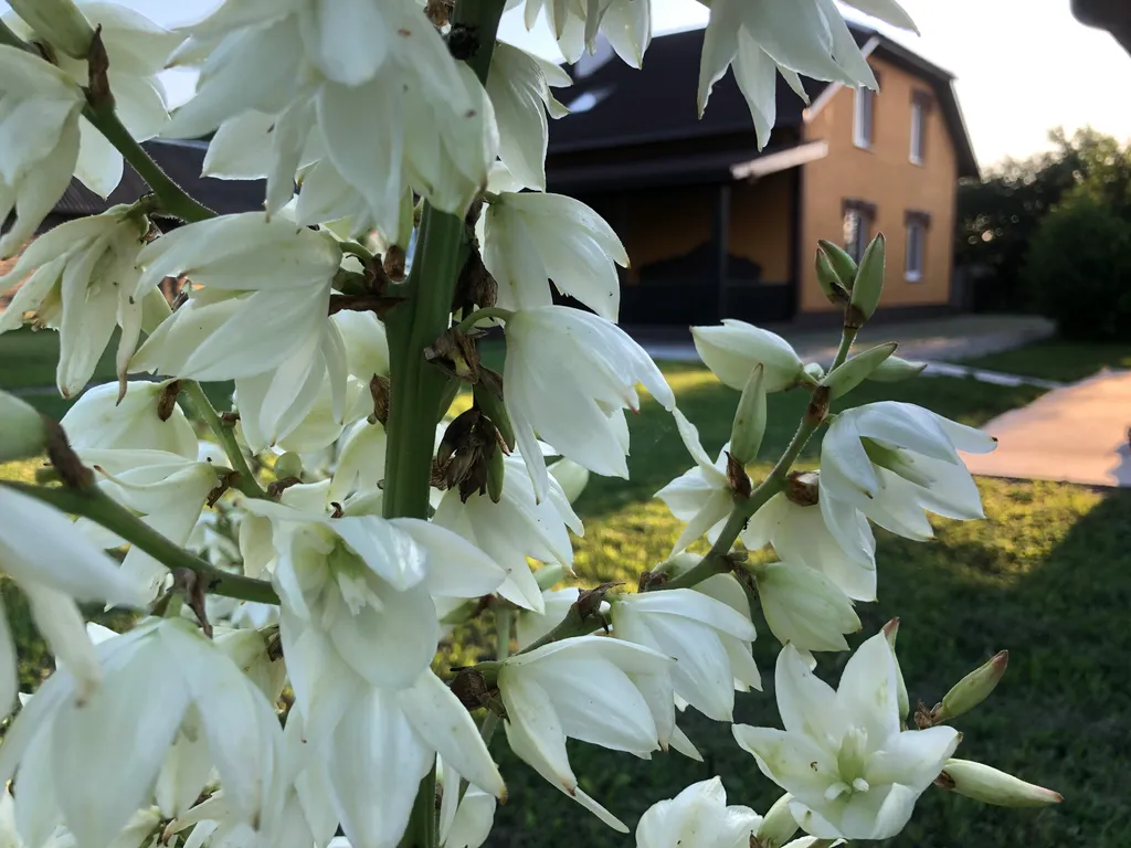 Усадьба Царское село