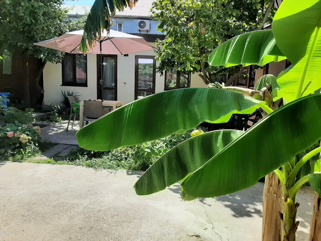 Уютный номер в новом домике в саду справа