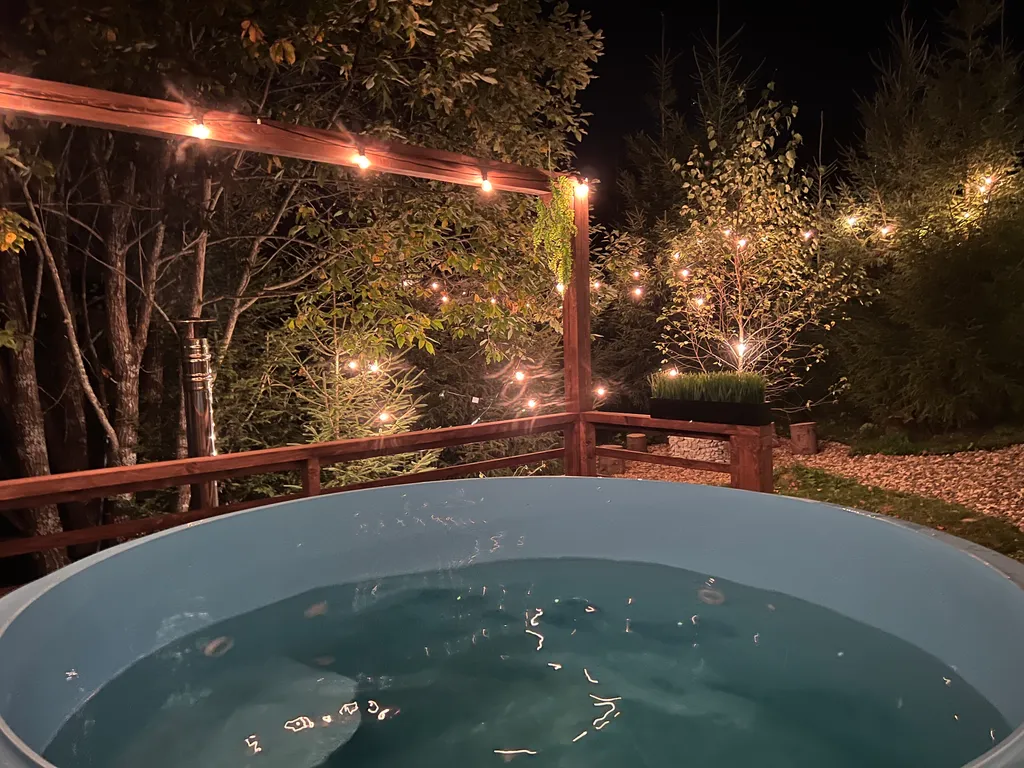 Дом с кедровой баней и чаном