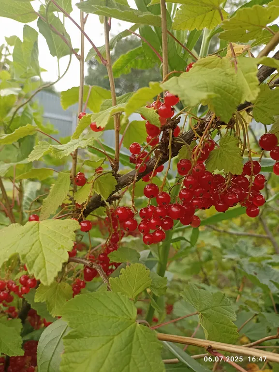 Просторный и уютный дом