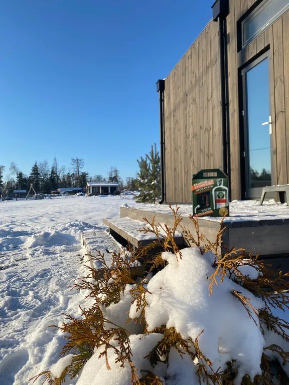 Уютный дом с панорамными окнами