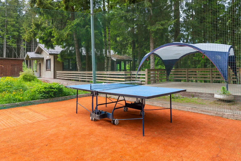 Домик с видом на лес