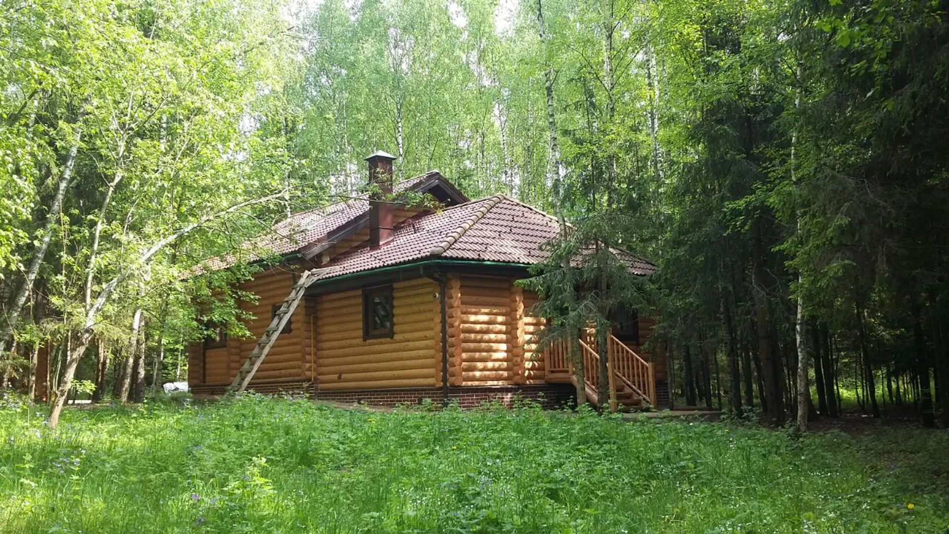 Вид с задней стороны дома