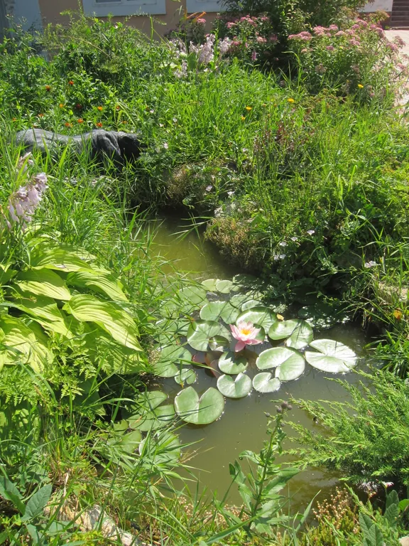 Гостевой дом в Ясной Поляне