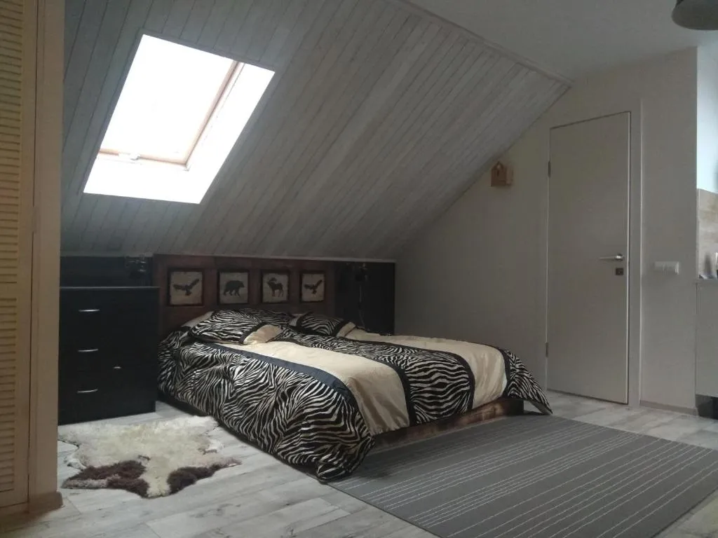 Студия на мансарде