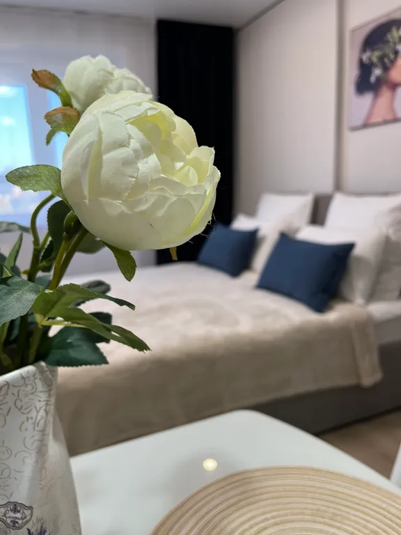 Уютная с современным ремонтом квартира напротив зоопарка