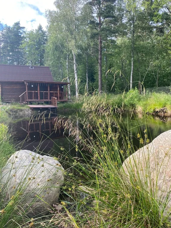 Коттедж Уютный домик в лесу №1 с двухъярусной кроватью — Кутузовское