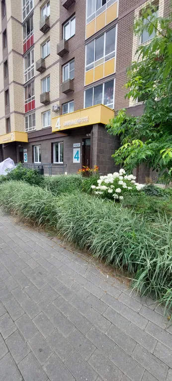 Квартира Уютная квартира — Мисайлово