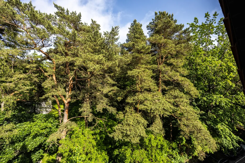 Уютный апартамент в сердце Светлогорска