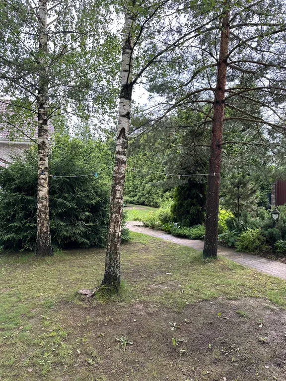 Шале с русской баней Релакс