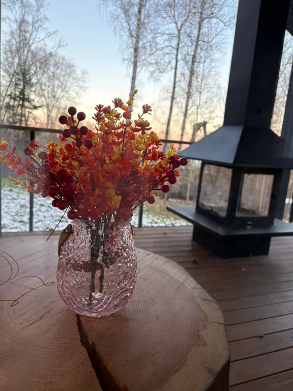 Дом Совы на вершине города